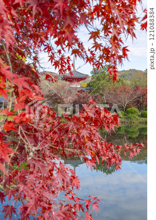 秋の京都　大覚寺　放生池に映る心経宝塔 121088384