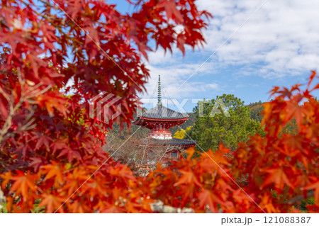 秋の京都　大覚寺　紅葉に包まれた心経宝塔 121088387