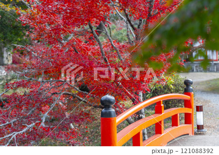秋の京都 大覚寺 紅葉に包まれた大沢池エリア 秋の京都 大覚寺 紅葉に包まれた大沢池エリア 121088392