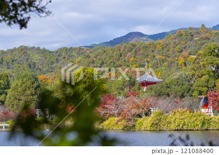 秋の京都　大覚寺　紅葉に包まれた大沢池 121088400