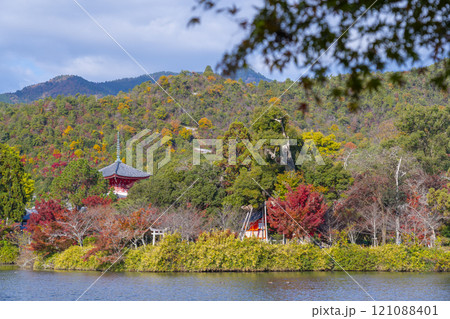 秋の京都 大覚寺 紅葉に包まれた大沢池 秋の京都 大覚寺 紅葉に包まれた大沢池 121088401