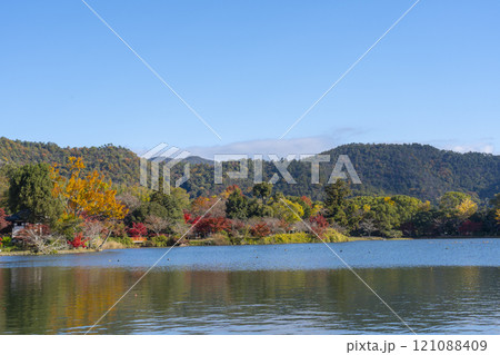 秋の京都　大覚寺　紅葉に包まれた大沢池 121088409
