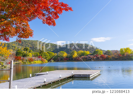 秋の京都　大覚寺　紅葉に包まれた大沢池の池舞台 121088413