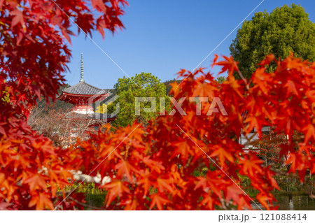 秋の京都　大覚寺　紅葉に包まれた心経宝塔 121088414