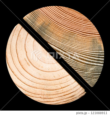 Pine round wood, can be used as background, wood grain texture Pine round wood, can be used as background, wood grain texture 121088911