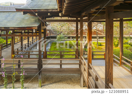秋の京都 大覚寺 村雨の廊下 秋の京都 大覚寺 村雨の廊下 121088951