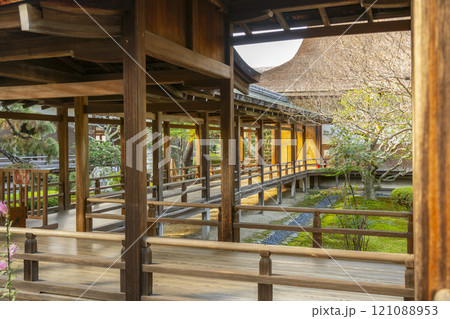 秋の京都　大覚寺　村雨の廊下 121088953