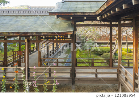 秋の京都　大覚寺　村雨の廊下 121088954