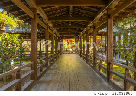 秋の京都　大覚寺　村雨の廊下 121088960
