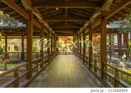 秋の京都　大覚寺　村雨の廊下 121088964