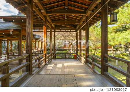 秋の京都　大覚寺　村雨の廊下 121088967