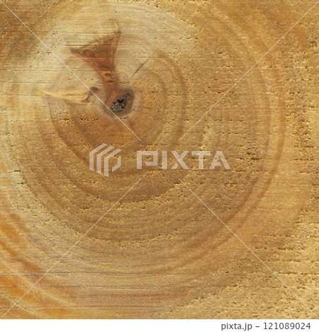 Hornbeam wood, can be used as background, wood grain texture 121089024