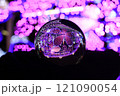 手の中の水晶 121090054