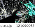 イルミネーションと水晶 121090062