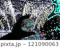 イルミネーションと水晶 121090063