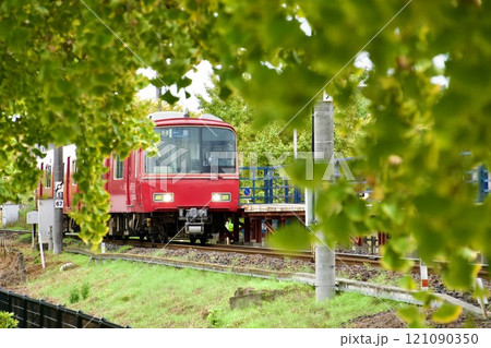 イチョウ並木の中を走る名鉄電車 イチョウ並木の中を走る名鉄電車 121090350