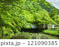 新緑の季節 121090385