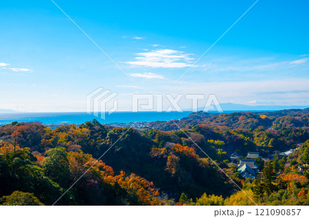 秋晴れの紅葉と建長寺 秋晴れの紅葉と建長寺 121090857