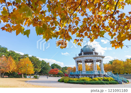 鶴舞公園の奏楽堂、黄葉するプラタナス〈愛知県名古屋市〉 121091180