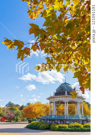 鶴舞公園の奏楽堂、黄葉するプラタナス〈愛知県名古屋市〉 鶴舞公園の奏楽堂、黄葉するプラタナス〈愛知県名古屋市〉 121091191