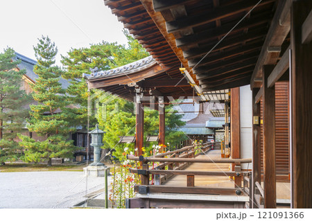 秋の京都　大覚寺　心経前殿と白砂庭園 121091366
