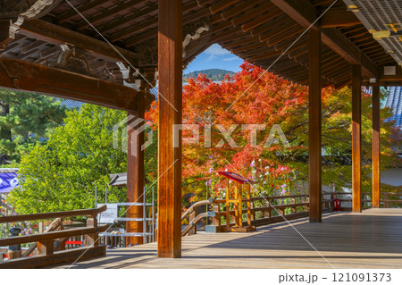 秋の京都　大覚寺　宸殿と宸殿前庭 121091373