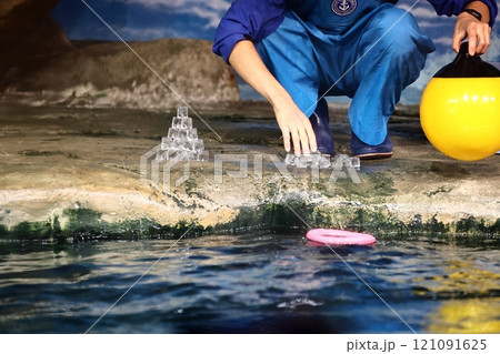 マリンワールド海ノ中道のリロちゃん 121091625