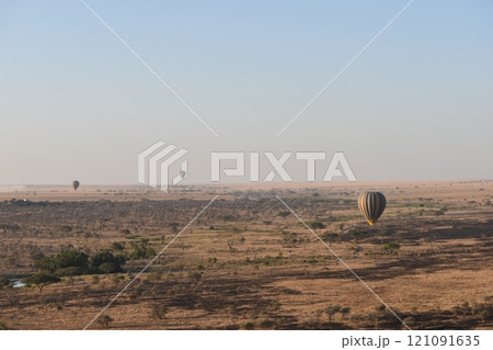 アフリカの野生動物たち 121091635
