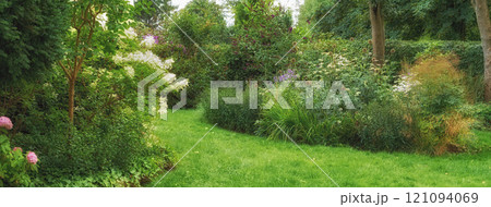 Botanical garden with green grass, trees and different flowers blossoming in summer outdoors. Scenic landscaping in a lush park with copyspace. Calm peaceful view to enjoy on a fresh walk in nature. 121094069