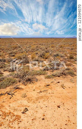 Landscape of arid and barren highland in Savanna Desert in rural South Africa with copyspace. Dry, empty, remote land against blue sky. Global warming and climate change in drought environment 121094070