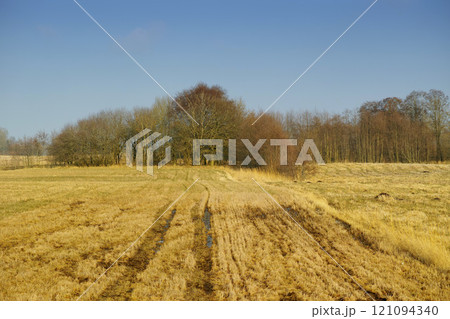 Wet farm land and trees in the countryside. Open wetland or a swamp covered in yellow haylike lawn grass with forestry in the background. Empty agricultural field with water puddles due to rainfall Wet farm land and trees in the countryside. Open wetland or a swamp covered in yellow haylike lawn grass with forestry in the background. Empty agricultural field with water puddles due to rainfall 121094340