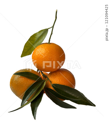 Mandarin isolated. Citrus branch without background. Fresh, tropical food. Superfood, orange fruit 121094425