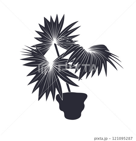 Black linocut silhouette of potted houseplant fan palm Black linocut silhouette of potted houseplant fan palm 121095287
