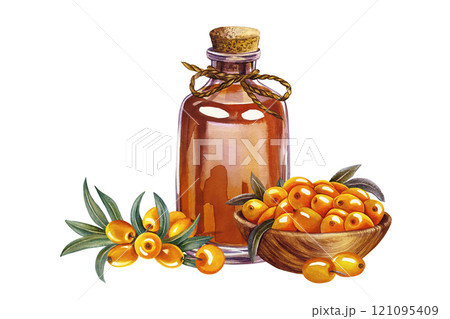 Sea buckthorn in a wooden bowl and sea buckthorn oil in a vintage glass bottle. A hand-drawn watercolor illustration. For cosmetology and pharmaceuticals. For the design of packaging, labels, flyers. Sea buckthorn in a wooden bowl and sea buckthorn oil in a vintage glass bottle. A hand-drawn watercolor illustration. For cosmetology and pharmaceuticals. For the design of packaging, labels, flyers. 121095409