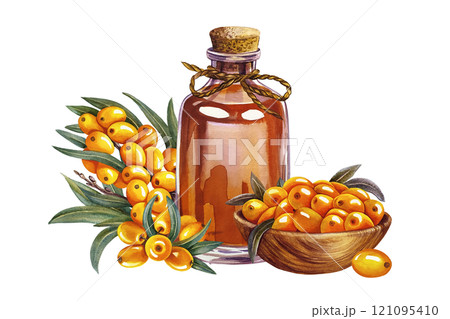 Sea buckthorn in a wooden bowl and sea buckthorn oil in a vintage glass bottle. A hand-drawn watercolor illustration. For cosmetology and pharmaceuticals. For packaging, labels, flyers and posters. Sea buckthorn in a wooden bowl and sea buckthorn oil in a vintage glass bottle. A hand-drawn watercolor illustration. For cosmetology and pharmaceuticals. For packaging, labels, flyers and posters. 121095410