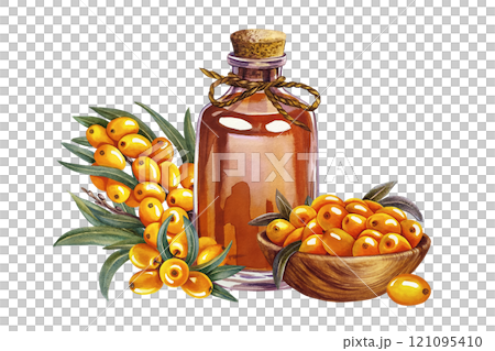 Sea buckthorn in a wooden bowl and sea buckthorn oil in a vintage glass bottle. A hand-drawn watercolor illustration. For cosmetology and pharmaceuticals. For packaging, labels, flyers and posters. Sea buckthorn in a wooden bowl and sea buckthorn oil in a vintage glass bottle. A hand-drawn watercolor illustration. For cosmetology and pharmaceuticals. For packaging, labels, flyers and posters. 121095410