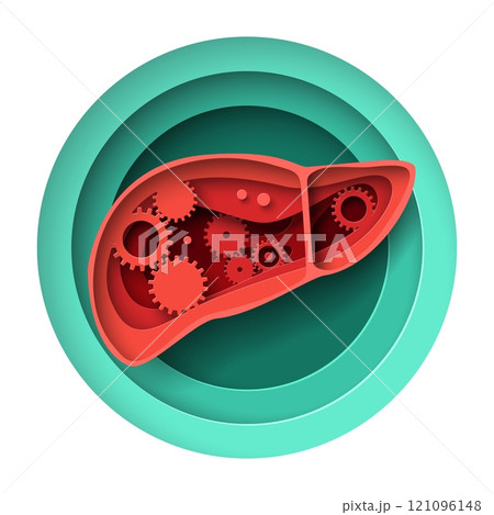 Human liver work process paper cut craft vector illustration 121096148