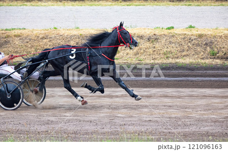 Racing thrills at the harness track on a sunny day in the countryside 121096163