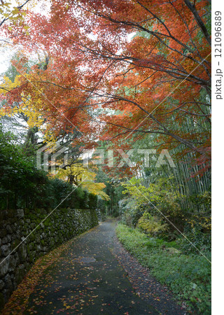 比叡山里坊 紅葉の小道 滋賀県大津市坂本 比叡山里坊 紅葉の小道 滋賀県大津市坂本 121096889