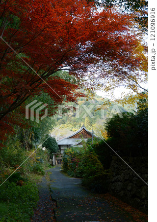 比叡山里坊 紅葉の小道 滋賀県大津市坂本 比叡山里坊 紅葉の小道 滋賀県大津市坂本 121096916
