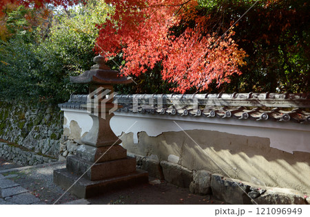 比叡山里坊 慈眼堂参道の紅葉 滋賀県大津市坂本 比叡山里坊 慈眼堂参道の紅葉 滋賀県大津市坂本 121096949