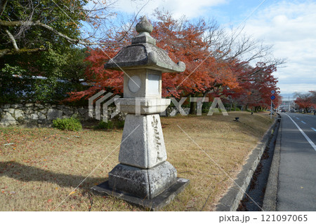 日吉大社 表参道の石灯篭と紅葉 滋賀県大津市坂本 日吉大社 表参道の石灯篭と紅葉 滋賀県大津市坂本 121097065