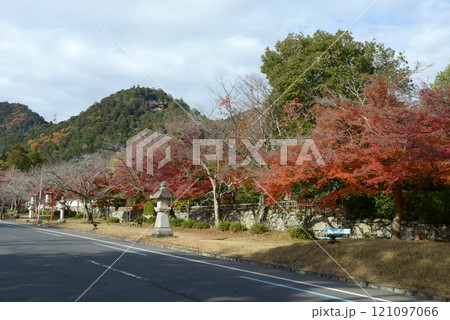 日吉大社　表参道の紅葉　滋賀県大津市坂本 121097066