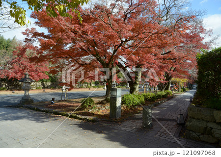 日吉大社　表参道の紅葉　滋賀県大津市坂本 121097068