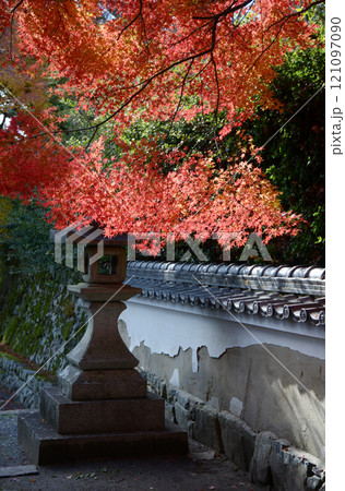 比叡山里坊　慈眼堂　参道の紅葉　滋賀県大津市坂本 121097090