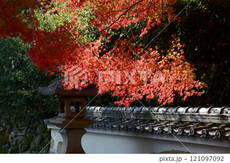 比叡山里坊 慈眼堂 参道の紅葉 滋賀県大津市坂本 比叡山里坊 慈眼堂 参道の紅葉 滋賀県大津市坂本 121097092