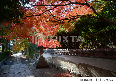 比叡山里坊 慈眼堂 参道の紅葉 滋賀県大津市坂本 比叡山里坊 慈眼堂 参道の紅葉 滋賀県大津市坂本 121097093