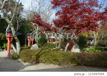 比叡山里坊 律院 境内の紅葉 滋賀県大津市坂本 比叡山里坊 律院 境内の紅葉 滋賀県大津市坂本 121097094