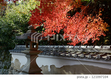 比叡山里坊 慈眼堂 参道の紅葉 滋賀県大津市坂本 比叡山里坊 慈眼堂 参道の紅葉 滋賀県大津市坂本 121097104