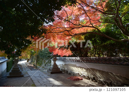比叡山里坊　慈眼堂　参道の紅葉　滋賀県大津市坂本 121097105